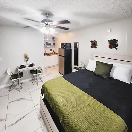 Adorable Mini Suite In Tampa Exterior photo